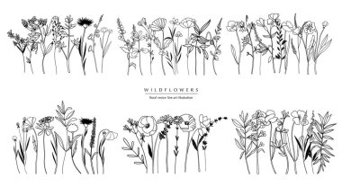 Botanik soyut sanat kompozisyonları, el yapımı otların, çiçeklerin, yaprakların ve dalların minimum çiçek sınırları; vektör illüstrasyonları