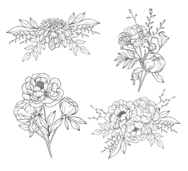 Collection Peony Flowers Bouquets Flower Compositions Hand Drawn Botanical Line — Stock Vector