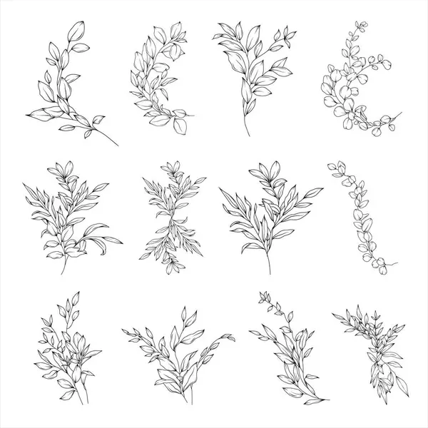 Květinová Vektorová Sada Zeleně Aranžmá Kytice Ručně Kreslené Svatební Větve — Stockový vektor