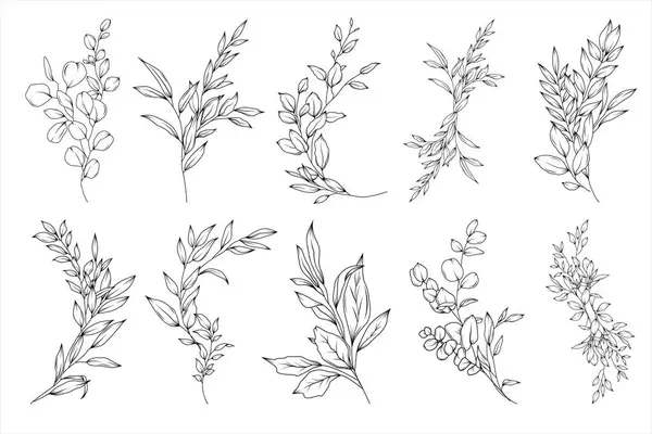 Virágvektor Készlet Zöld Elrendezések Csokrok Kézzel Rajzolt Esküvői Ágak Gyógynövények — Stock Vector