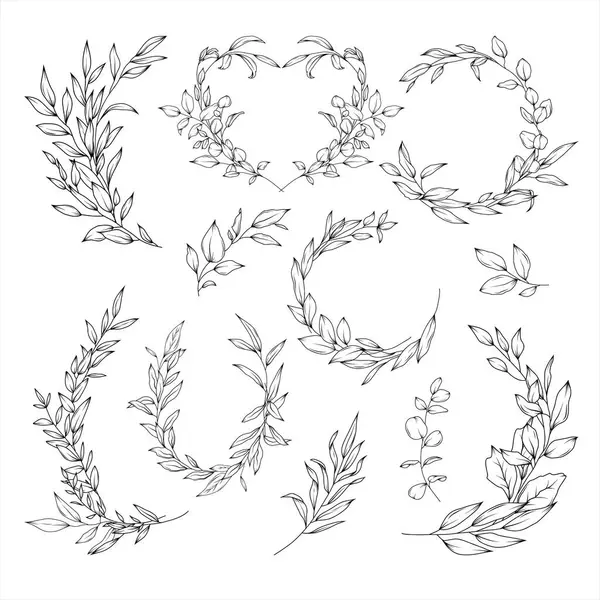 Векторний Набір Елегантних Квіткових Вінків Композицій Гілок Евкаліпта Зелені Намальований — стоковий вектор