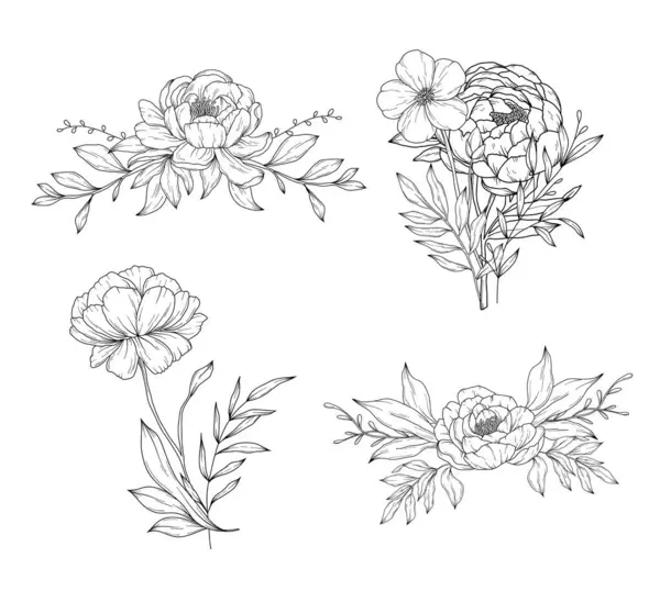 Коллекция Букетов Цветочных Композиций Пиона Рисунок Ботанической Линии Вручную Векторная — стоковый вектор