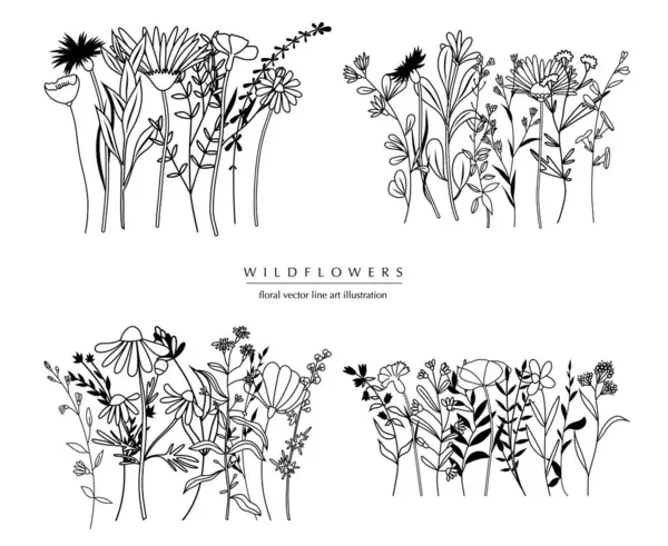 Ботанічна Абстрактна Лінія Художніх Композицій Мінімальні Квіткові Межі Намальованих Рук — стоковий вектор