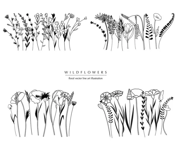 Ботанічна Абстрактна Лінія Художніх Композицій Мінімальні Квіткові Межі Намальованих Рук — стоковий вектор