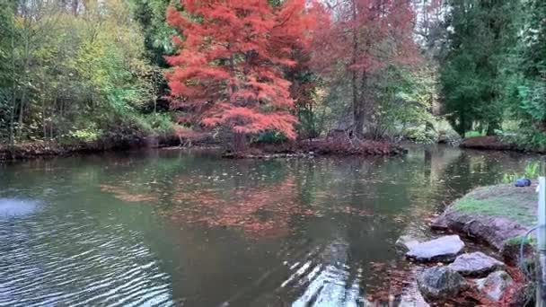 秋の公園の池に噴水 — ストック動画