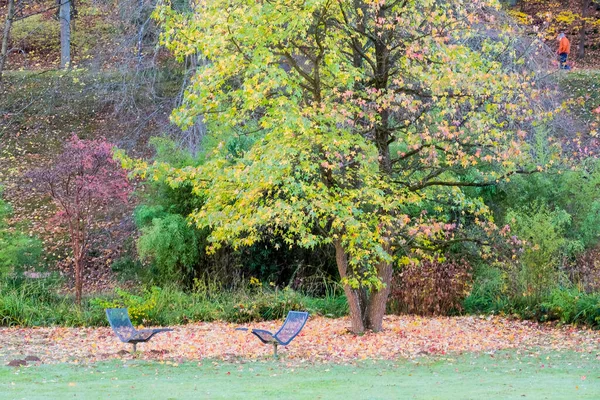 Beautiful Autumn Landscape Park — Stock Photo, Image