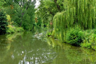 Şehir parkında güzel bir manzara. Yüksek kalite fotoğraf