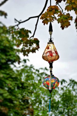 Ağaçtan sarkan Çin fenerleri. Yüksek kalite fotoğraf