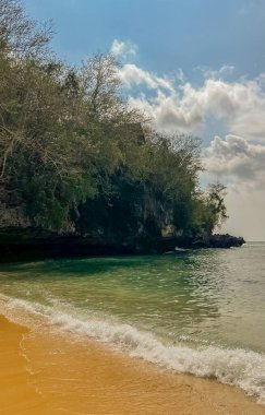 Deniz kıyısının güzel manzarası