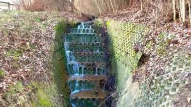 Orman deresinden küçük bir şelale. Yüksek kalite 4k görüntü