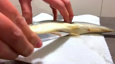 Tuzlu ringa balığı. Derinin derinliklerinden arınmak. Yüksek kalite 4k görüntü