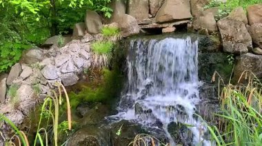 Ormanda güzel bir şelale