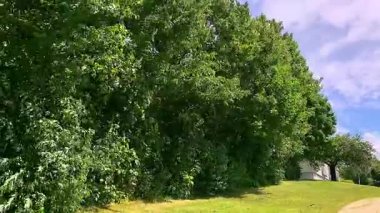 Güçlü rüzgarlar bahçedeki ağaçları sallıyor..