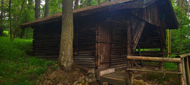 Ormandaki ahşap kulübe