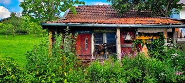  Ormandaki eski ahşap ev