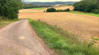 Buğday tarlası ve bulutlu gökyüzü