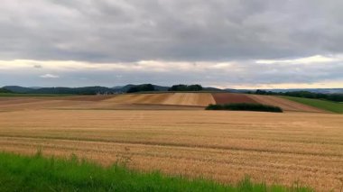 Buğday tarlası ve bulutlu gökyüzü