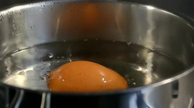 Sıcak suda yumurta kaynıyor. Yüksek kalite 4k görüntü