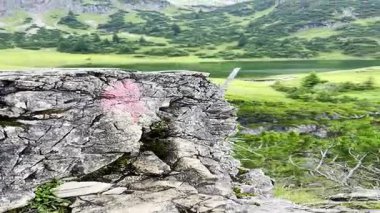 Nehirli güzel dağ manzarası, seyahat konsepti