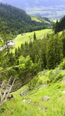 Dağlarda yeşil çayır