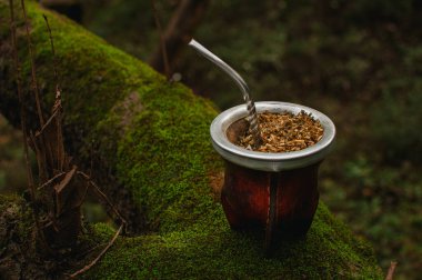 Porongo, yeşil bir ağaç gövdesinde Yadba Mate ile eşleşiyor. Sıcak bir içecek..