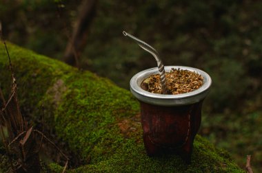 Porongo, yeşil bir ağaç gövdesinde Yadba Mate ile eşleşiyor. Sıcak bir içecek..
