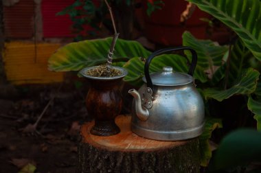 Kütükte Arjantinli bir arkadaş. Yerba eşi ve çelik bir su ısıtıcıyla çiftleşmek. Doğa.