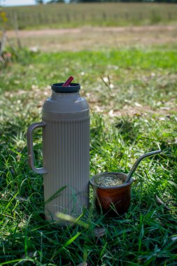 Yeşil çimenlerin üzerinde bir fincan mat..