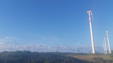 Jatoba plajı, Barra dos Coqueiros, Sergipe, Brezilya
