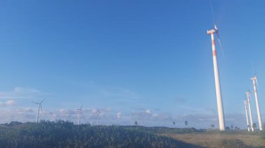 Jatoba plajı, Barra dos Coqueiros, Sergipe, Brezilya