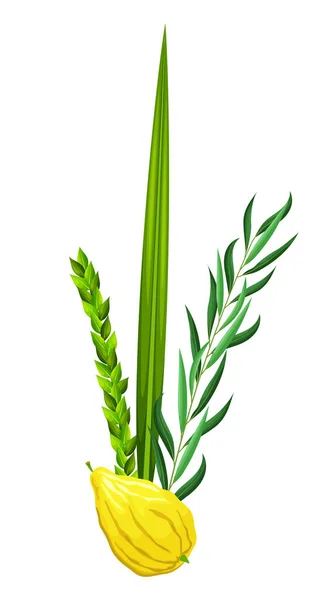 Geleneksel Sukkot sembolleri: Etrog (citron), lulav (palmiye dalı), hadas (mersin ağacı), arava (söğüt). Toplanma ya da tapınak ziyafeti festivali. Kart, afiş, poster, sosyal medya için harika