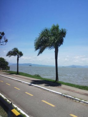 Kendinizi bu huzurlu kıyı manzarasının doğal güzelliğine daldırın. Rüzgarda sallanan palmiye ağaçları, sakin denizler ve açık mavi bir gökyüzü rahatlamak ve gençleşmek için mükemmel bir ortam yaratır..