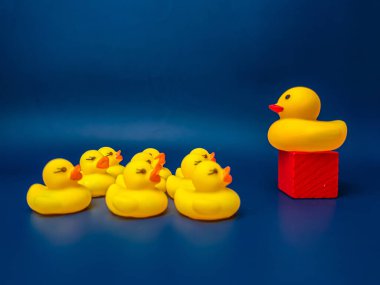 Group of toy ducks with leadder. Leadder and teamwork concept