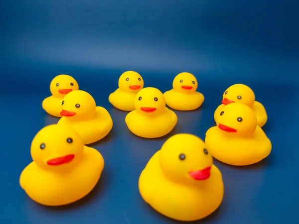 A group of yellow duck toys on a blue background.