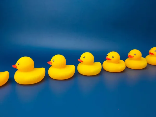 A row of yellow duck toys on a blue background.