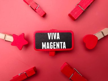 Colored wooden board and clips with word VIVA MAGENTA