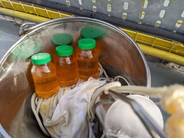 Ham palmiye çekirdeği yağı örnekleri üç plastik şişenin içinde ve paslanmaz çelik bir kapta saklanıyor.