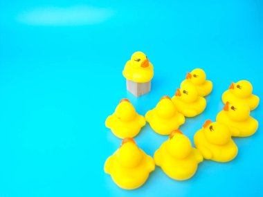 Group of toy ducks with leadder. Leadder and teamwork concept