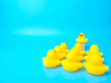 Group of toy ducks with leadder. Leadder and teamwork concept