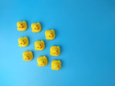Bir grup oyuncak ördek. Lider ve takım çalışması kavramı
