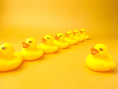 Group of toy ducks with leadder. Leadder and teamwork concept