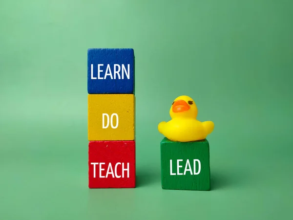Yellow duck and colored cube with the word LEARN DO TEACH LEAD on green background