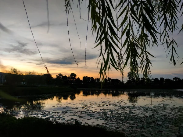 Μαλαισία Μαΐου 2022 Ηλιοβασίλεμα Στο Πάρκο Giverny Sunsuria City — Φωτογραφία Αρχείου