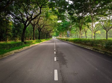 Yeşil gölgeli ağaçlarla çevrili uzun bir yol.