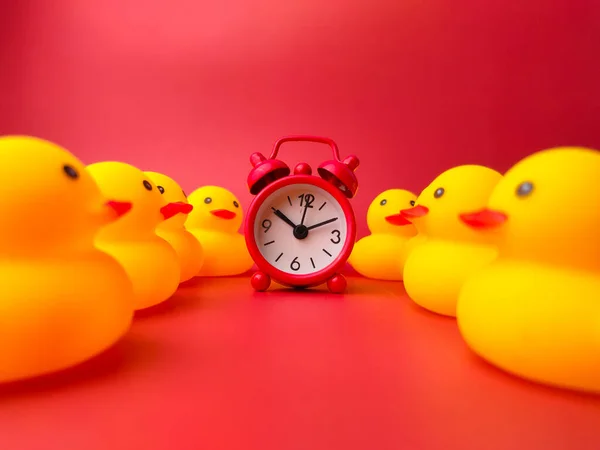 Kırmızı Arka Planda Sarı Oyuncak Ördeklerle Çevrili Kırmızı Bir Saat — Stok fotoğraf