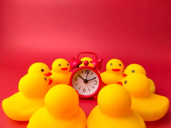 Eine Rote Uhr Umgeben Von Gelben Spielzeugenten Auf Rotem Hintergrund — Stockfoto