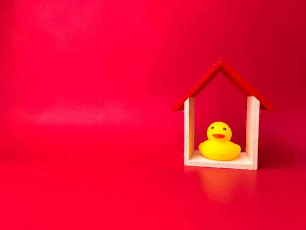 Wooden toy house and duck toy on a red background with copy and text space.