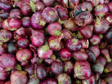 Yakın çekim. Süpermarkette satılan küçük kırmızı soğan.