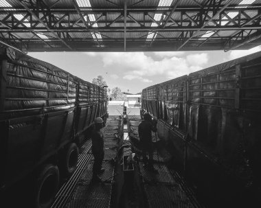 Lumak, Perak, 15 Temmuz 2023: Bir işveren, kamyonun yanındaki temizlik işini yapan bir sözleşmeli işçiyi izliyor.