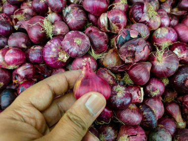 Birisi elinde küçük kırmızı bir soğanla süpermarkette satılıyor.